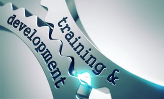 Training and Development gears